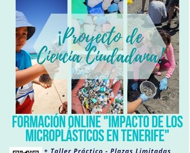 Microplásticos