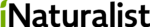3357-original