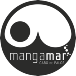 Logo MM – Card SSI