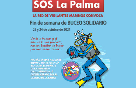 Buceo Solidario por La Palma