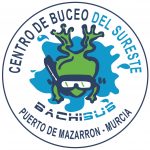 bachisub logo 1