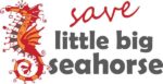 logo Little big Seahorse
