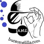 logoams
